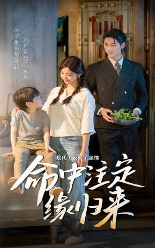 奇迹男孩免费观看完整版电影中文