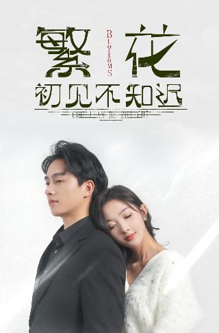 《人生大事》电影免费播放下载观看全集高清版