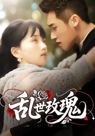 红楼梦解说版
