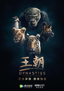 疯狂的背后第7集剧情介绍大结局