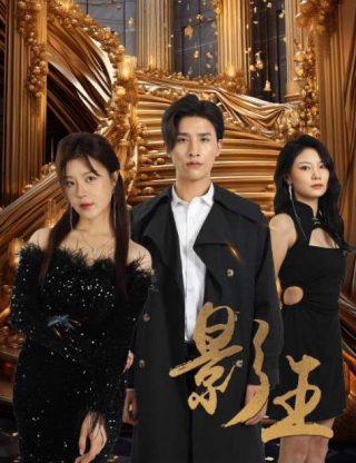 韩剧月亮的后裔完整版在线观看