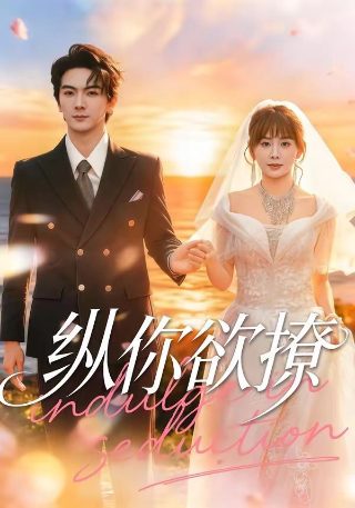 丁宝桢40集电视剧免费播放大全