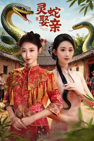 街头霸王2四大天王出招表