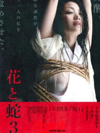 苹果电影下载迅雷下载
