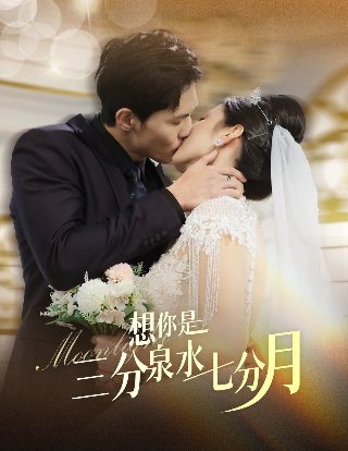 电视剧独生子女的婆婆