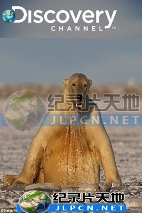 良心无悔粤语版在线观看全集电视剧