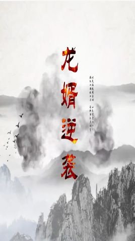 电视剧厨神演员表名单图片大全集