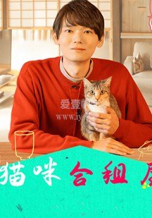 《我是特种兵》原著小庄和小菲的关系