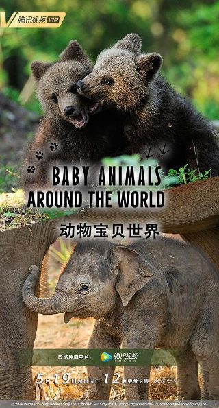 金凯出狱全集在线观看