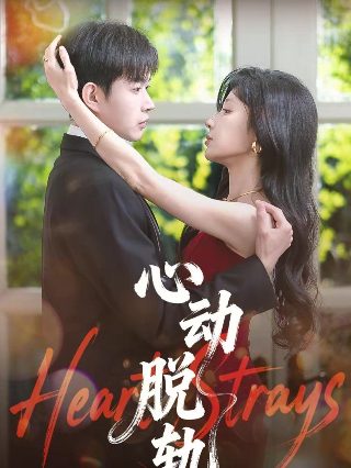 张慧雯《使徒行者》片段视频下载观看