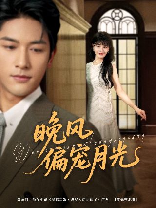 呼叫大明星19集视频