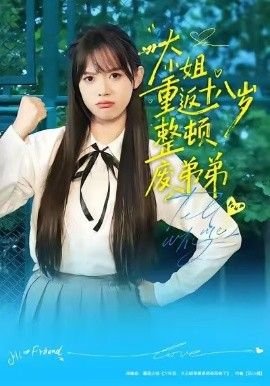 影子电视剧剧情介绍大结局免费观看