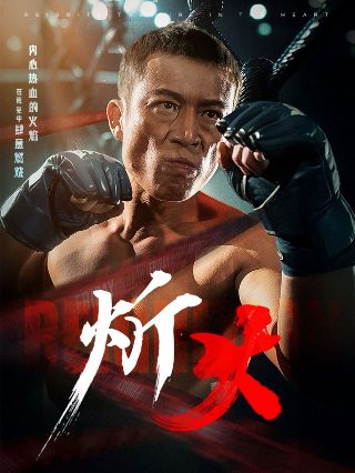 卫子夫爱奇艺全集免费观看高清