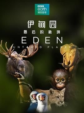 圣诞保卫战图片高清壁纸下载