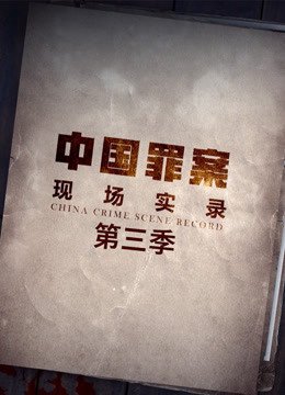 电影《侠盗》演员表名单图片高清大图