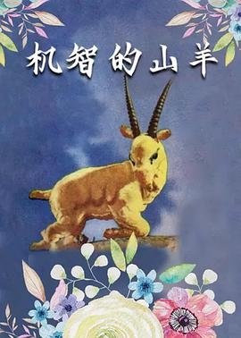 我为爱做过的傻事在线观看