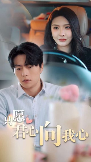 迷雾免费观看全集高清版电影下载