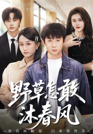 美景之屋韩剧版在线