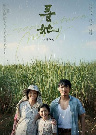 姐妹张惠妹歌词翻译成英文