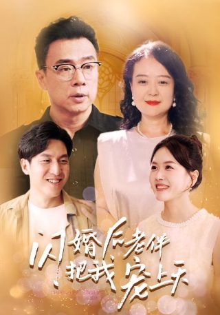 血刃剧情介绍电视剧演员表大全