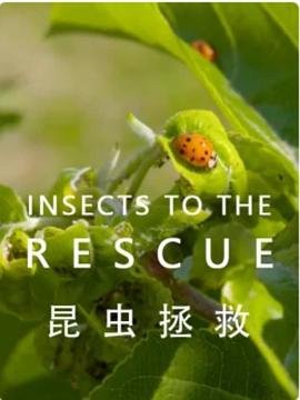 放学后的屋顶百度云