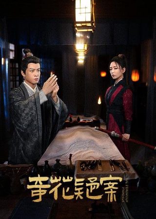 不一样的美男子第三部演员表大全