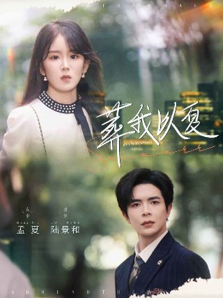 渡我于夜短剧全集免费观看