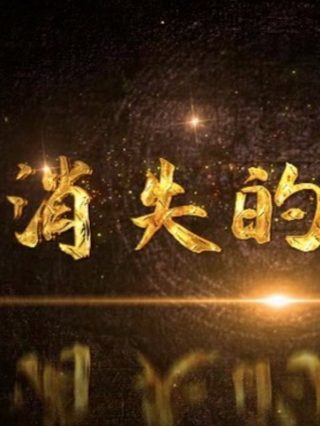 权宠刁妃剧情介绍全集百度云资源