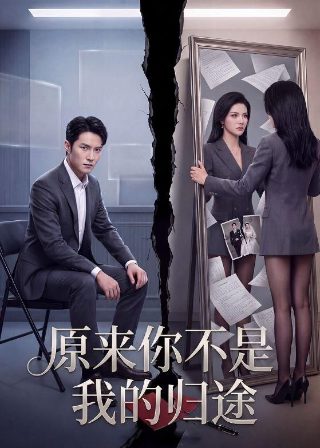 我爱狐狸精电影观看