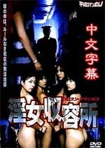 陪你到时光尽头全集免费观看完整版电视剧