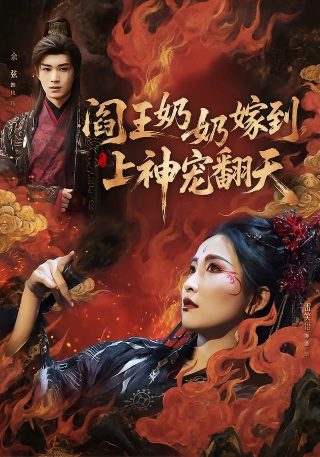 疯狂的石头迅雷下载mp4下载