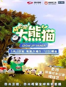 飞常日志1剧情介绍