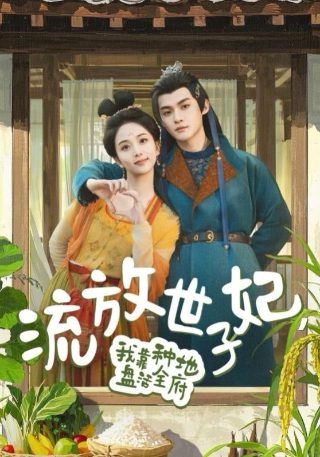 我的前半生完整版全集资源在线观看高清