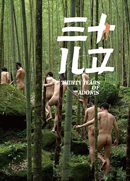 恐龙动画片全集大全爱奇艺