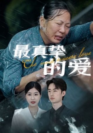电影《过江龙》演员表