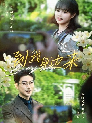乌鸦电影剧情介绍分集详细