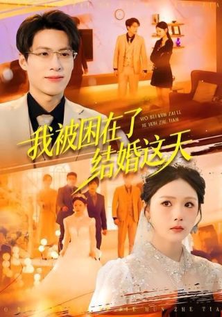 杨乃武与小白菜翁虹版詹氏是谁演的