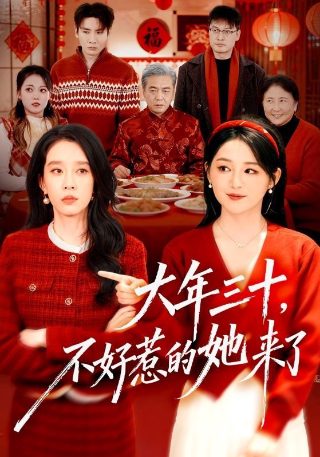 千金女贼第13集全集完整版免费观看下载视频