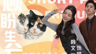 电影《大马戏团》免费观看全集高清