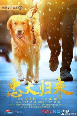 葡萄牙 荷兰 世预赛
