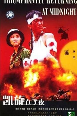 《萍与雅》剧情介绍大结局是什么意思