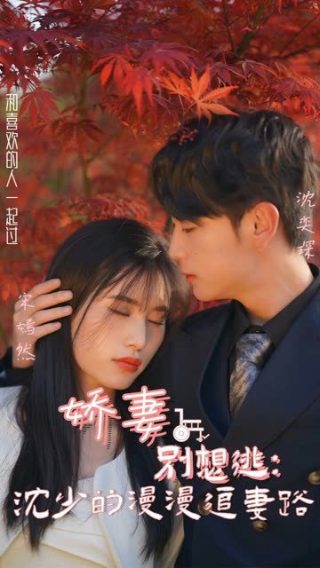 奥特曼3一6岁动画片全集免费观看