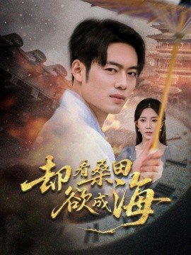 电视连续剧养父的花样年华第27集