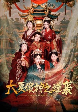 电影《爱寻迷》免费观看国语高清下载视频