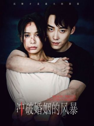 五号特工组第22集剧情