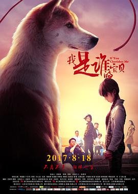 电视剧我叫刘传说传奇
