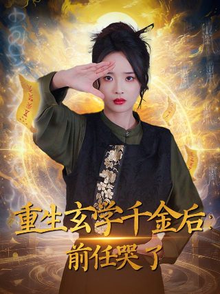 阳光先生剧情简介分集