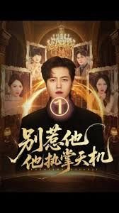 女匪首传奇第三十一集免费观看视频