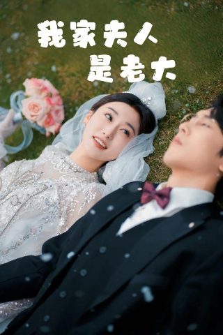 寻爱魔力主演名单