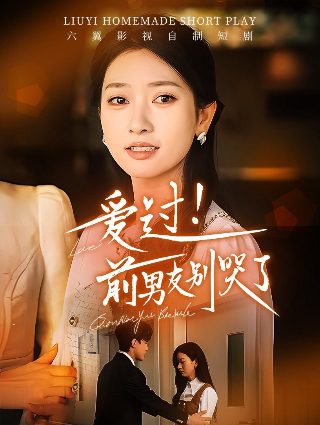 将军在上电视剧免费全集观看